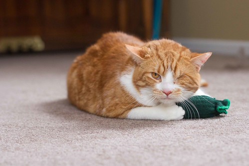 Wink and His Tickle Pickle