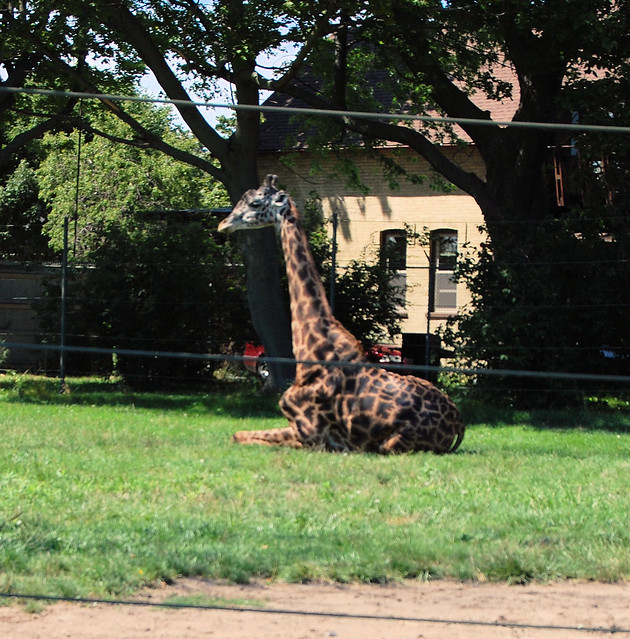Racine Zoological Gardens, Racine, Wisconsin