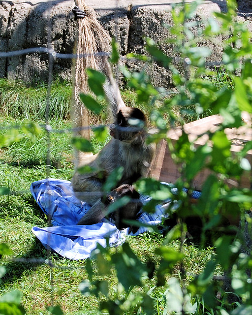 Racine Zoological Gardens, Racine, Wisconsin