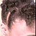 tophawk