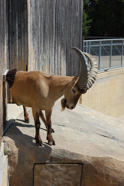 Racine Zoological Gardens, Racine, Wisconsin