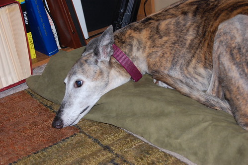 So this what life is going to be like now without treats Worried Rappy face