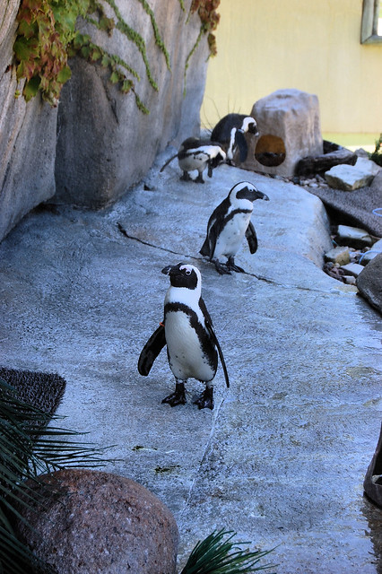 Racine Zoological Gardens, Racine, Wisconsin