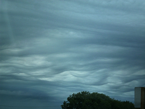 Wavy Clouds over trees as the edge covered us before the rain