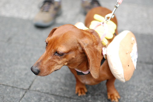 Running of the Weiners 2012