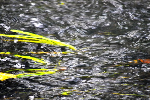 Untitled by robj_1971