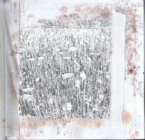 Photograph (657) by Russell Moreton