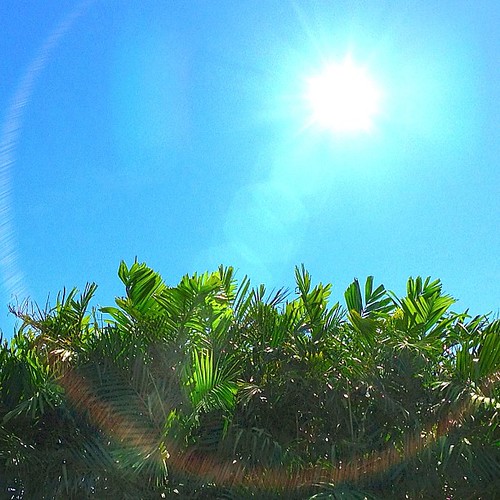 Bright and sunny in the backyard. #iphone4s #picoftheday #lensflare #photographyeveryday #awesomeshots #sunshine #photooftheday #igersasia #igersjapan #igersmanila #philippines #manila #instago #instamood #instamood