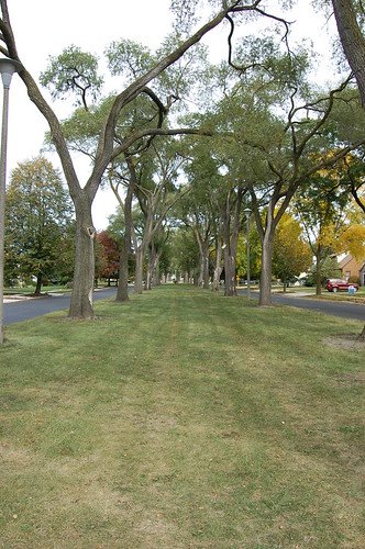 Finished Neighborhood roundabout