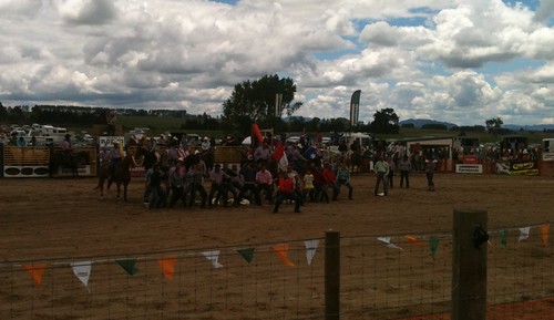 Taupo Rodeo