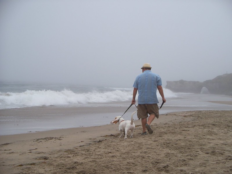 beach walk - ALK 4-2013