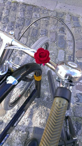 IMAG0832