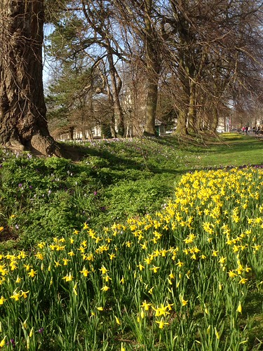 Cardiff Spring The Spring in Cardiff | Mia's