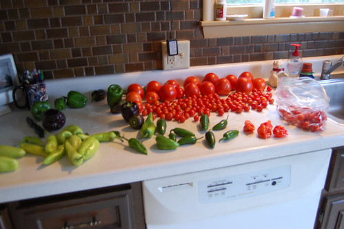 Tomatoes and peppers sorted by size and type