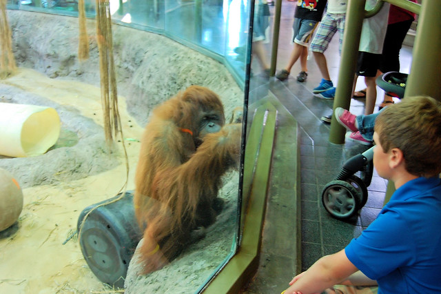 Racine Zoological Gardens, Racine, Wisconsin