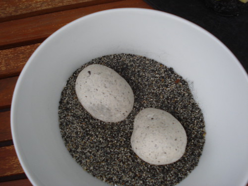Edible Rocks Mugaritz Mugaritz (2012) | FoodTy