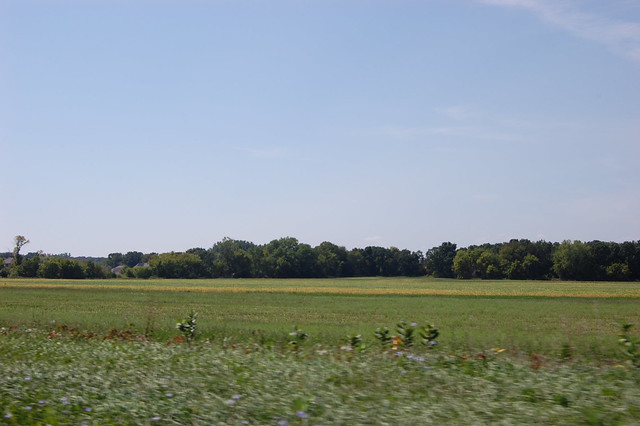 View of farmland from the convertible