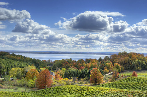 41.52 - Evoke: Ooooooh's