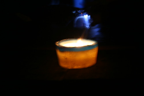 Hunting ghosts in Pembrey Woods