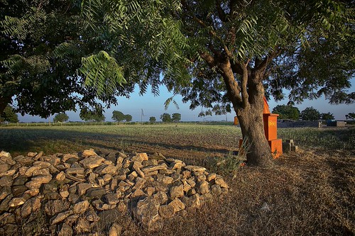 Near Shinay, Gandhidham,Kutch by Jayesh Bheda