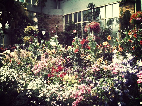 Winter Gardens in Auckland (not very wintery!) Amazing how a filter on the flickr iphone app can make pictures look arty eh lol