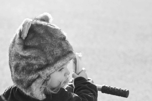 a bunny, a fox, a kitty, a bike and some snow.