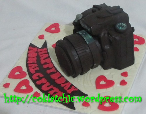 Cake Kamera Sony A450
