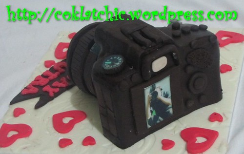 Cake Kamera Sony A450