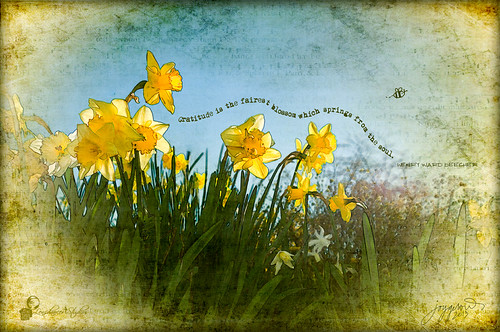 Breath of Spring by Imagemakercan - The Lensdancer