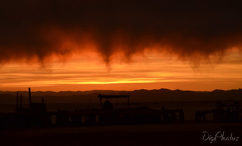 DSC_2003 by Digi Photus