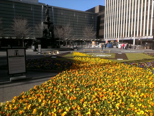 Scotts’ Spring Carpet