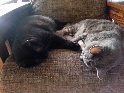 best seat for sleeps by eteckard