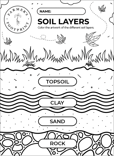 Layers of soil worksheet