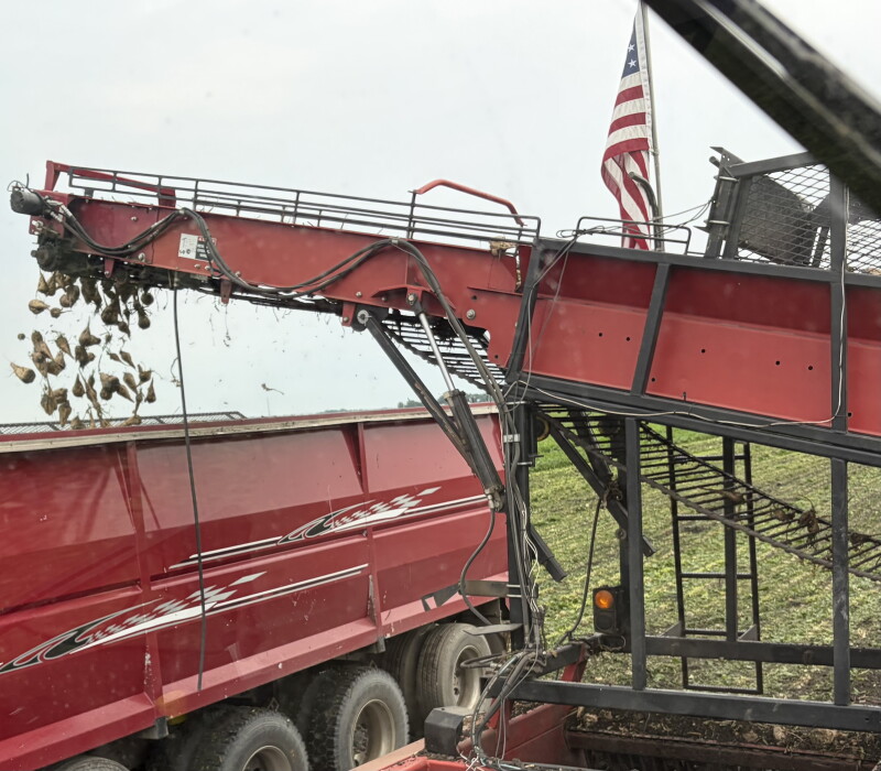 American Crystal Sugar kicks off 2026 pre-pile harvest