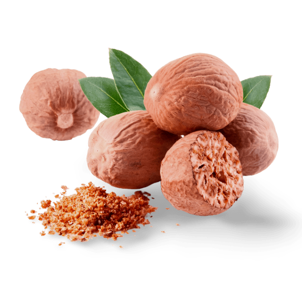 NutmegDried Jathikai 50 g Spices & Masala Farms2Home.sg Shop