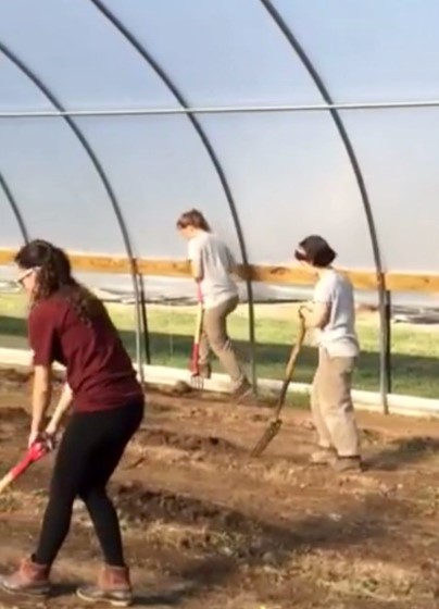 High tunnel preparation!