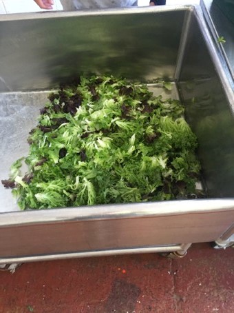 Lettuce and power green washing.