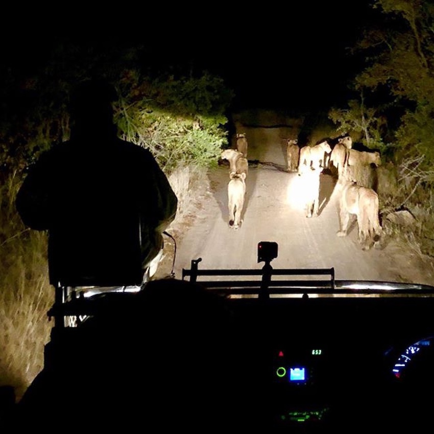 Sabi Sand, South Africa, travel