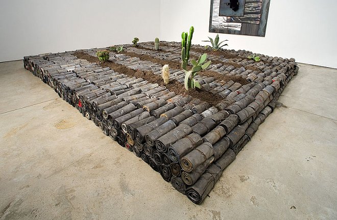 Elisabetta Lattanzio Farticulate