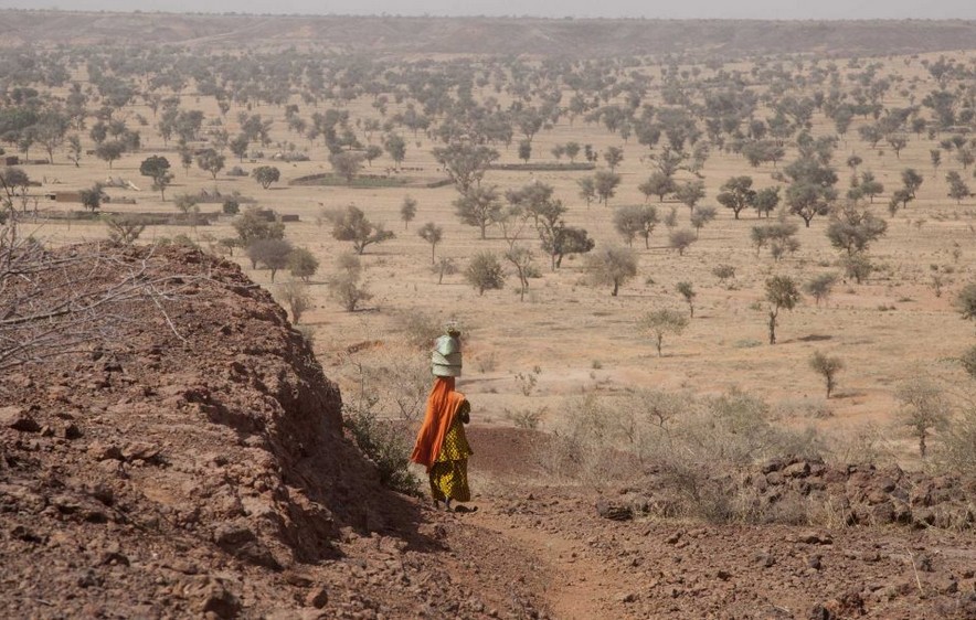 Sahel