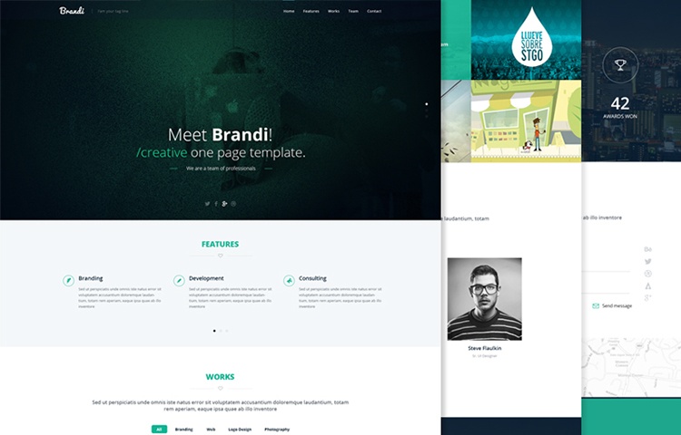 Brandi Responsive One Page Bootstrap Business Template Fastcode Space