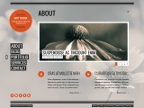 Opal Minimal Portfolio Template Fastcode Space