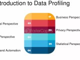 Data Profiling