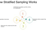 Stratified Sampling Stratified Random Sampling Definition Method And