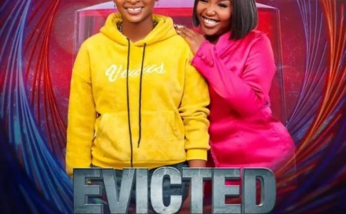 BBNaija S9: flourish duo evicted from the show