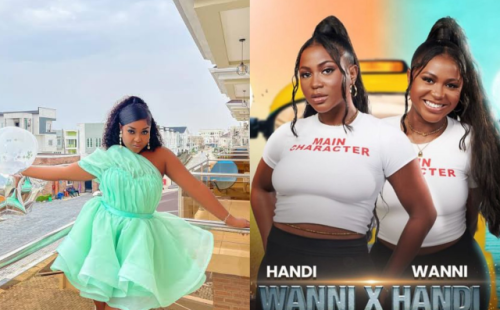 BBNaija S9: Wanni x Handi vow to strike back against Ruthie