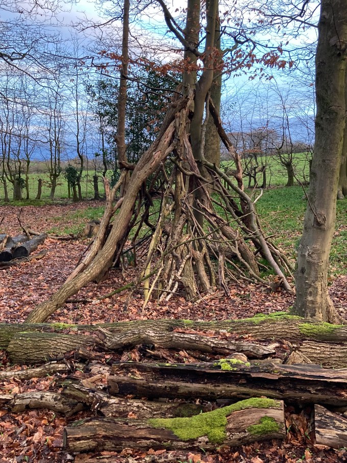 A small shelter made of stacked sticks.