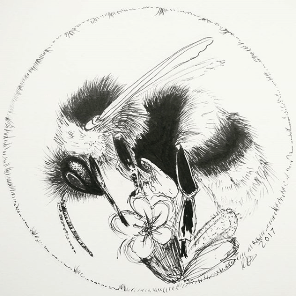 Kirsty Dillon (Clarrydoll)