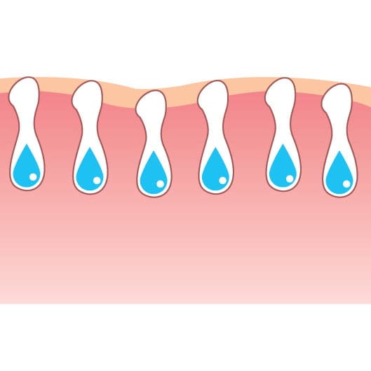 Cleaner, Hydrated Pores