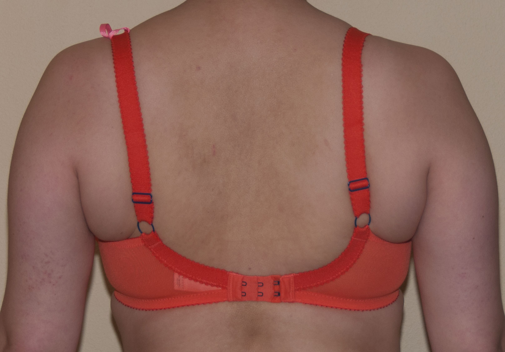 cut-sew bras – Faustian Foundations
